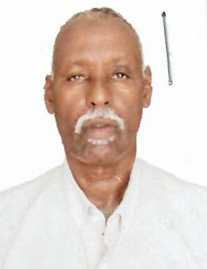 Odoo - Sample 1 for three columns