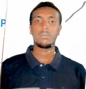 Odoo - Sample 3 for three columns