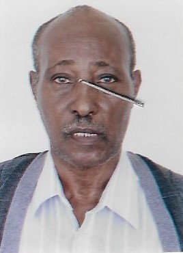 Odoo - Sample 1 for three columns