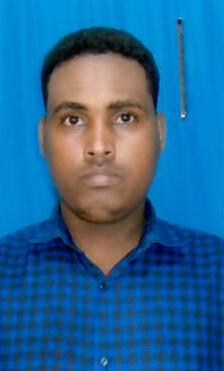 Odoo - Sample 1 for three columns