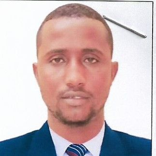 Odoo - Sample 1 for three columns