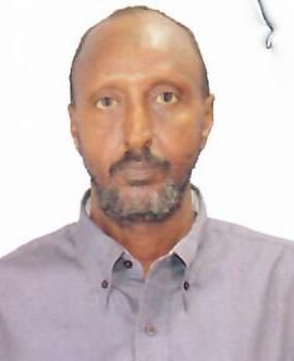 Odoo - Sample 1 for three columns