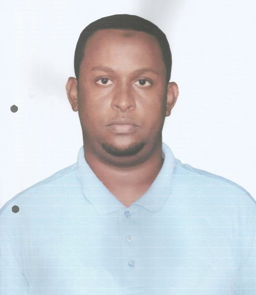 Odoo - Sample 1 for three columns