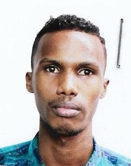 Odoo - Sample 1 for three columns