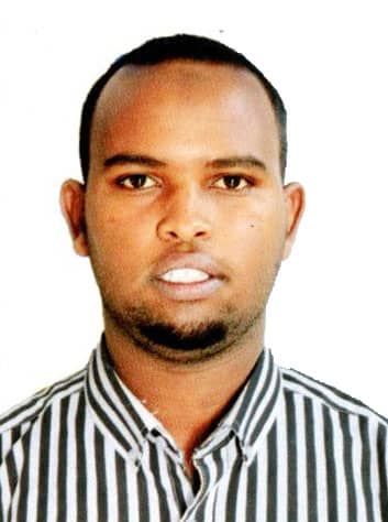 Odoo - Sample 1 for three columns