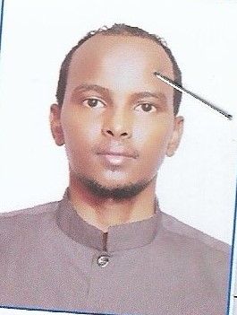 Odoo - Sample 1 for three columns