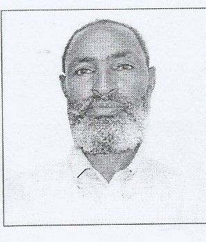 Odoo - Sample 1 for three columns