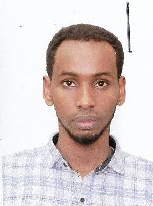 Odoo - Sample 1 for three columns